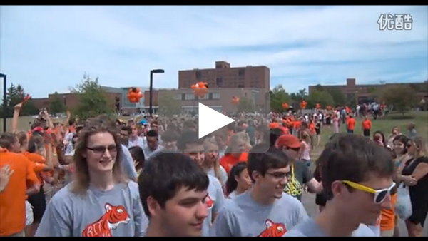 tiger walk video